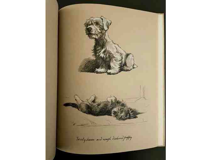 Just Among Friends: Pages from My Sketchbook