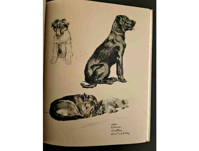 Just Among Friends: Pages from My Sketchbook