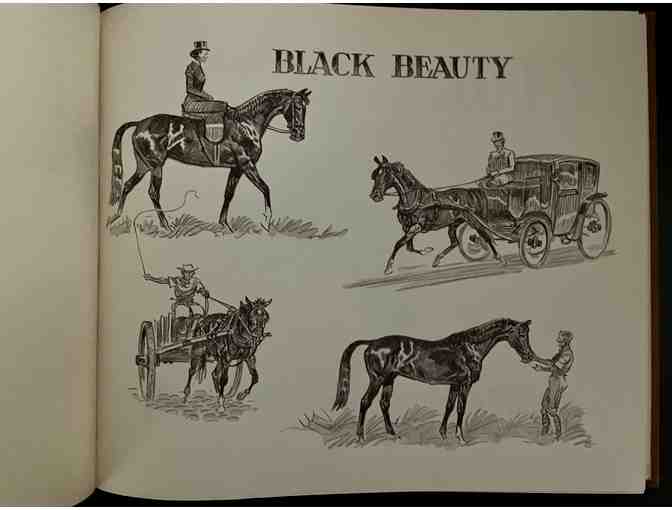 Black Beauty