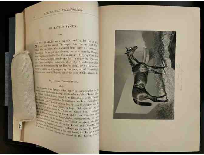 Portraits of Celebrated Racehorses of the Past and Present Centuries