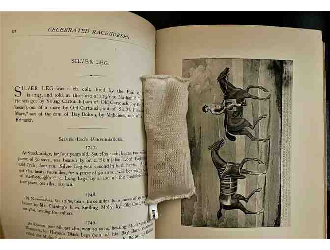 Portraits of Celebrated Racehorses of the Past and Present Centuries