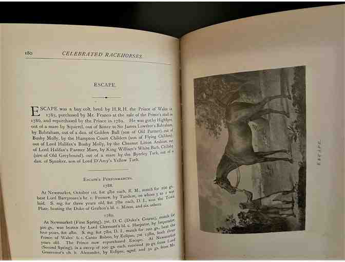 Portraits of Celebrated Racehorses of the Past and Present Centuries