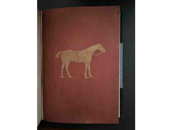 Portraits of Celebrated Racehorses of the Past and Present Centuries