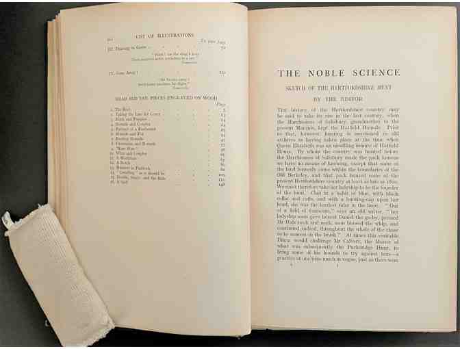 The Noble Science of Fox-Hunting