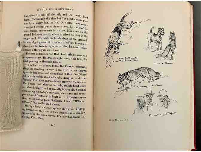 Foxhunting is Different