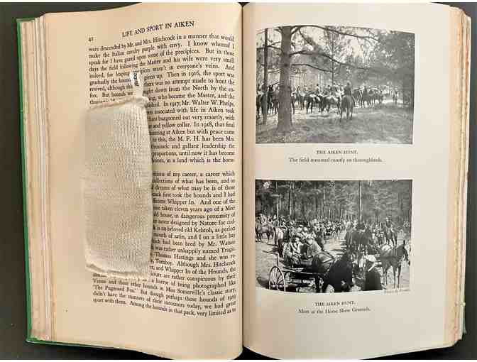 Life and Sport in Aiken