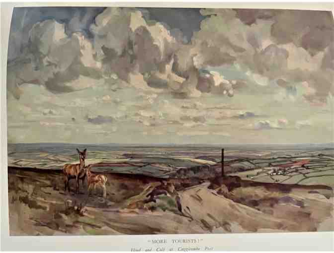 The Devon and Somerset Staghounds