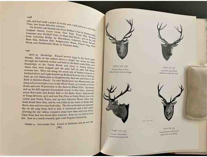 The Devon and Somerset Staghounds