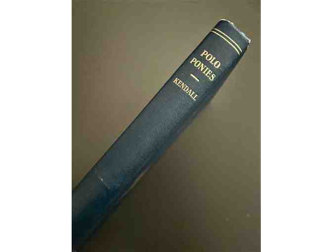 Polo Ponies: Their Training and Schooling