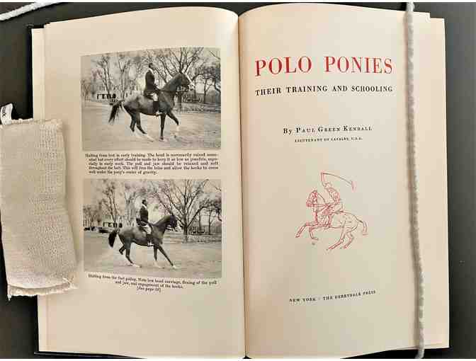 Polo Ponies: Their Training and Schooling