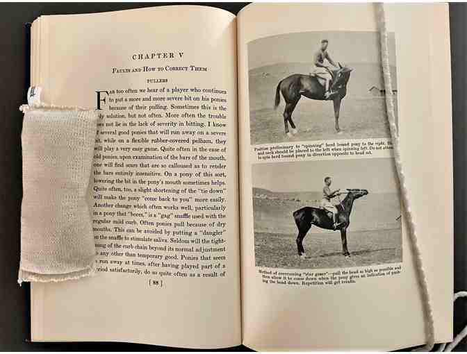 Polo Ponies: Their Training and Schooling