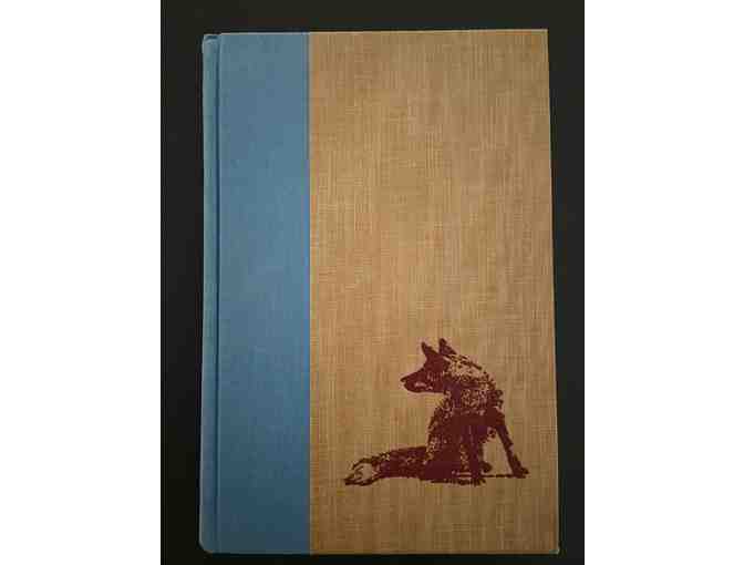 The Fox and the Hound