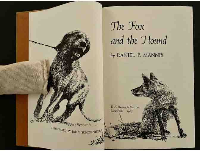 The Fox and the Hound