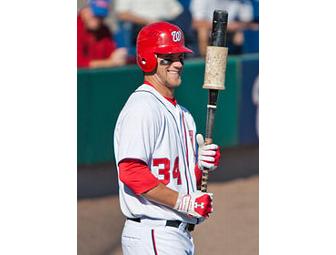 Bryce Harper Autographed Baseball