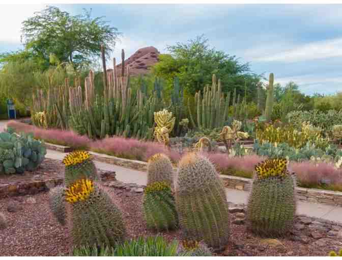 Desert Botanical Garden (1) One Year Club Membership - Photo 3