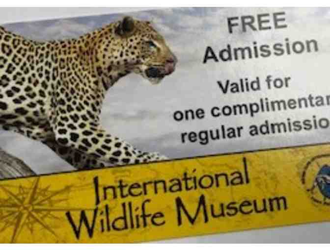 Tucson Entertainment Bundle (Int'l Wildlife Museum, Children's Museum, Biosphere2) - Photo 3