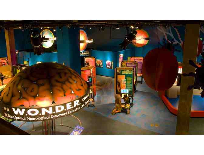 Kid Adventure Package #2  (Az Science Center, As You Wish, Az Museum Natural History)