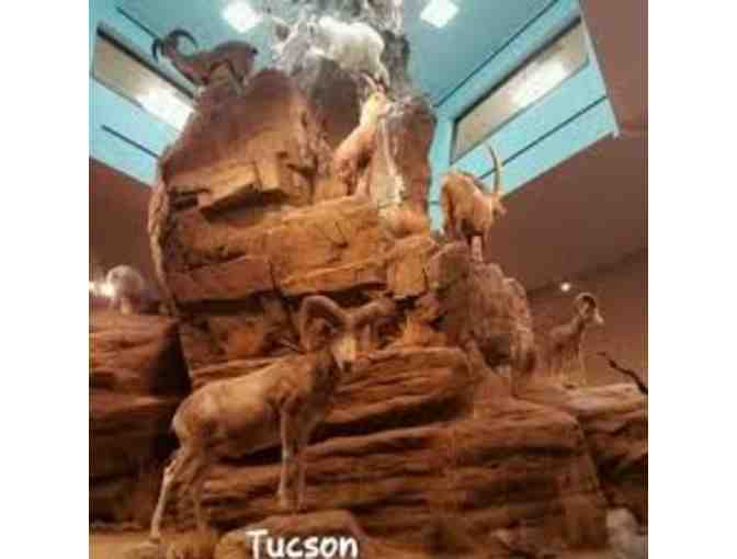 Tucson Entertainment Bundle (Int'l Wildlife Museum, Children's Museum, Biosphere2)