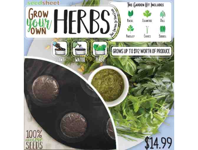 bundle of 6 Seedsheet Herbs Garden Kits
