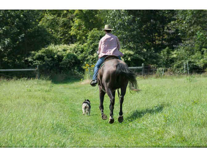 Natural Horsemanship Trailride with David Black