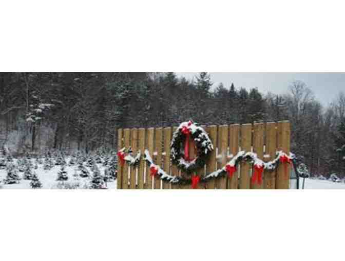 6-8ft Premium Balsam from Ripton's Sinclair Family Tree Farm