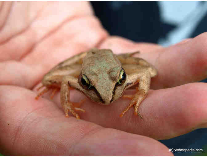 Vermont State Parks Day Use Pass