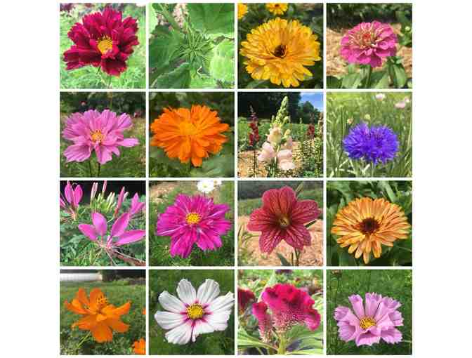 Elmer Farm CSA Share