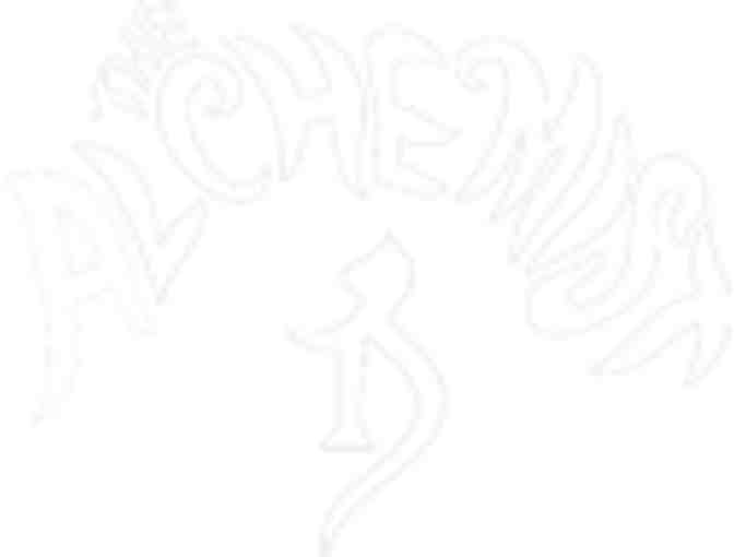 Alchemist Brewery Gift Bag