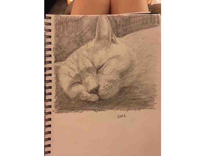 Commission Artwork of Your Pet