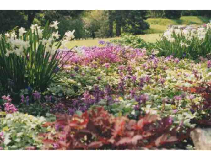 Garden Consultation from Hepatica