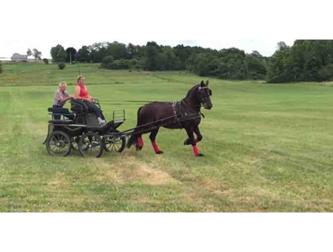 Horse Drawn Carriage Ride from Middlebrook Friesian Farm - Photo 1