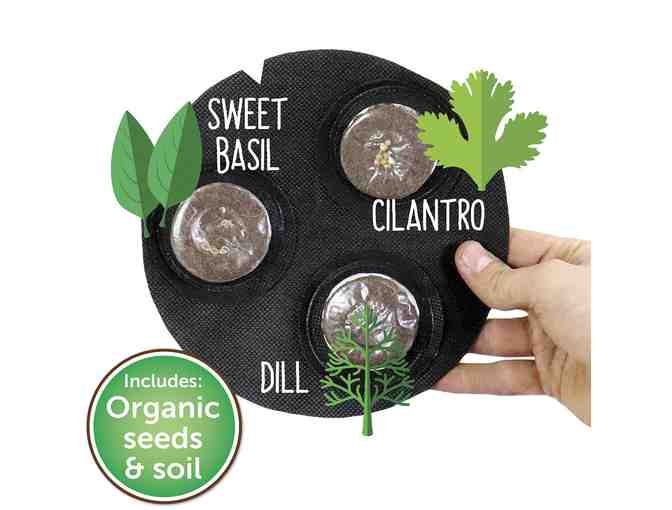 Seedsheet's Grow Your Own Mini Herb Gardening Kit