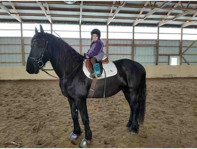 One-hour Dressage Lesson