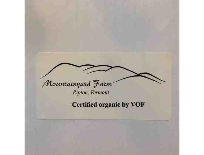 Organic starts from Mountainyard Farm