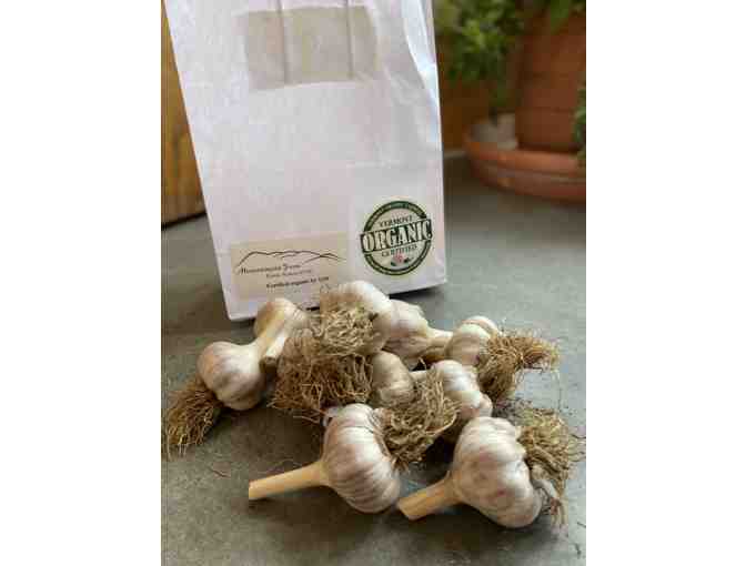 1lb Mountainyard Farm organic garlic - Photo 1