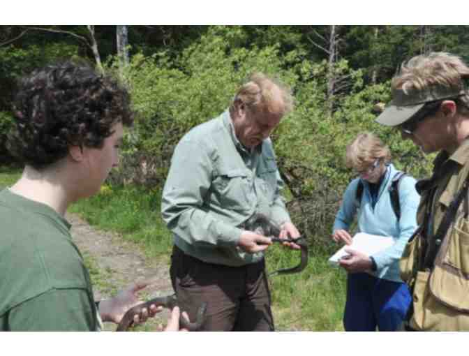 A 2-3 Hour Herpetology Field Trip OR a Herpetological Survey of Your Property