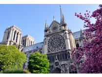 Fly OpenSkies Unique All Business Airline to Paris