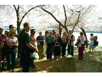 privately-led walking tour for up to ten persons