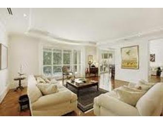 Professional Organizing Services