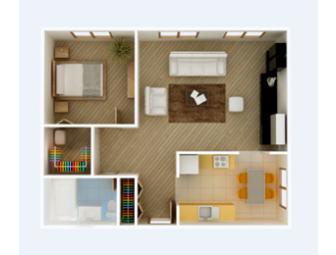 Professional Organizing Services