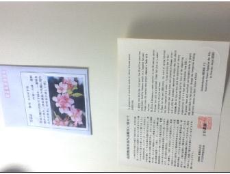 Cherry Blossom Art Picture by Masters of Shodo Kai