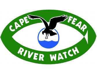 Lower Cape Fear River Basin Tour, 5 hours - 5 rivers