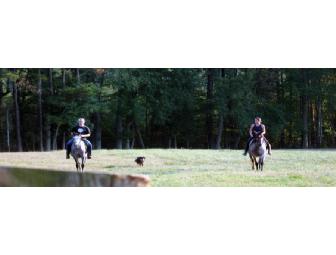 2-hour Horseback Riding/Horse Care Lesson