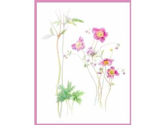 Botanical Print - choose from 9 (signed)