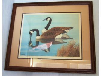 Framed, Signed Print of Canadian Geese