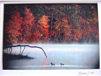 Framed Photograph of Ducks in the Fall