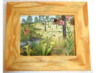 'A Longleaf Pine Savanna/Pocosin in North Carolina' Framed Print