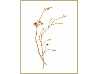 Botanical Print - Choose From 9