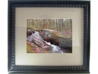 Nature Photograph Matted and Framed