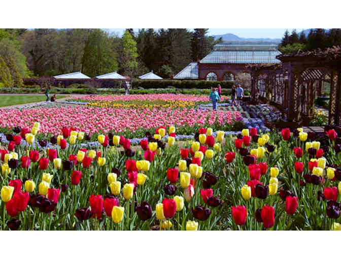 Two Tickets to Biltmore Estate (Asheville)